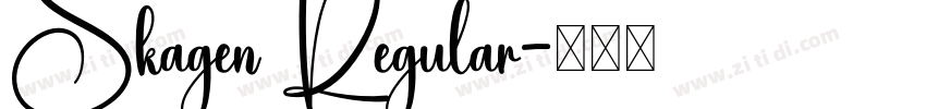 Skagen Regular字体转换 Skagen Regular字体转换